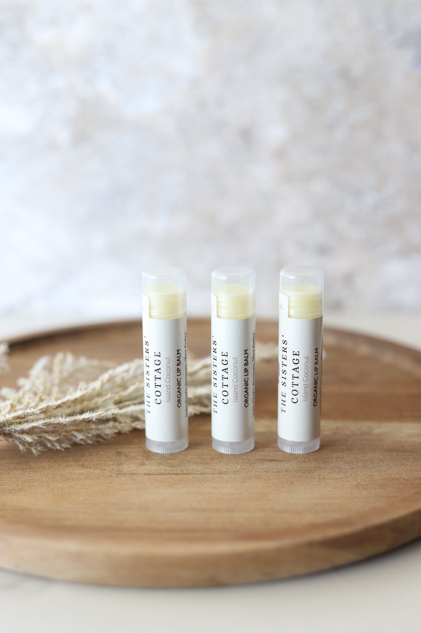 Island Coconut Lip Balm