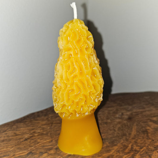 Morel Mushroom Candle