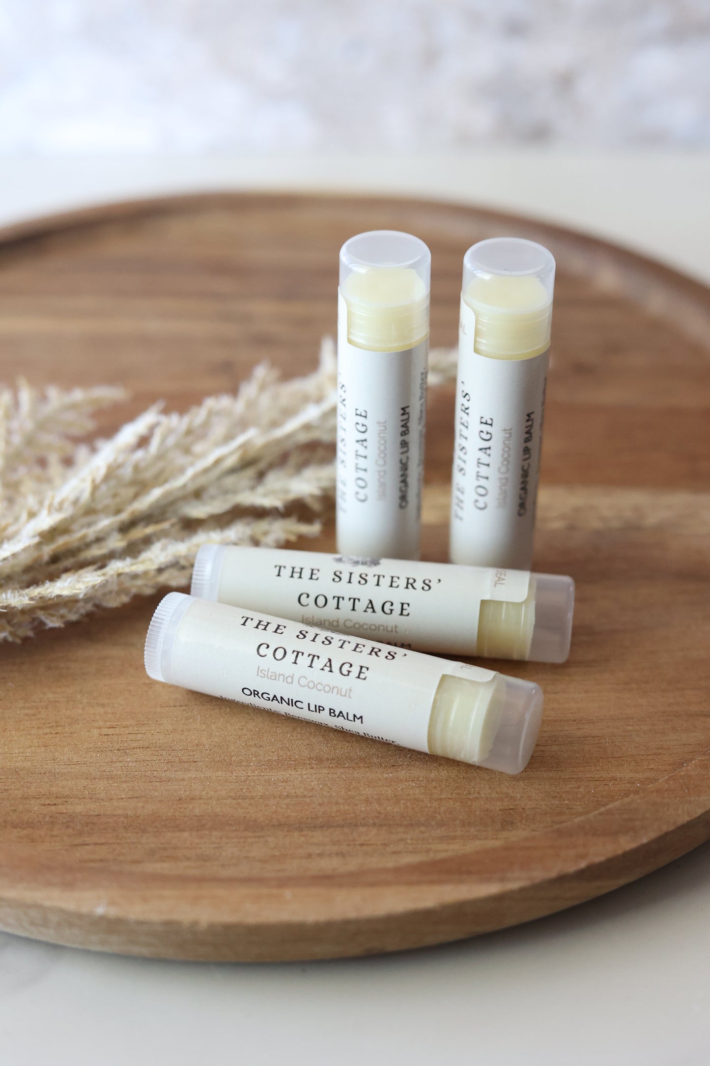 Island Coconut Lip Balm